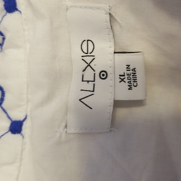 Alexis Dot Tulip Short Sleeve Blue White Embroidered Mini Dress - Picture 15 of 16